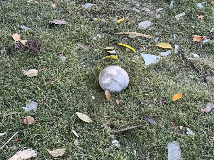 Прикарпатців застерігають про небезпеку касетних боєприпасів після російського удару