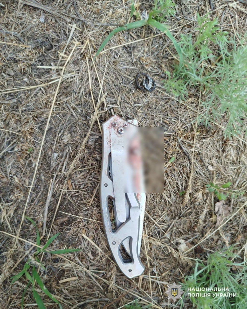 На Дніпропетровщині батько вступився за доньку та отримав удар ножем