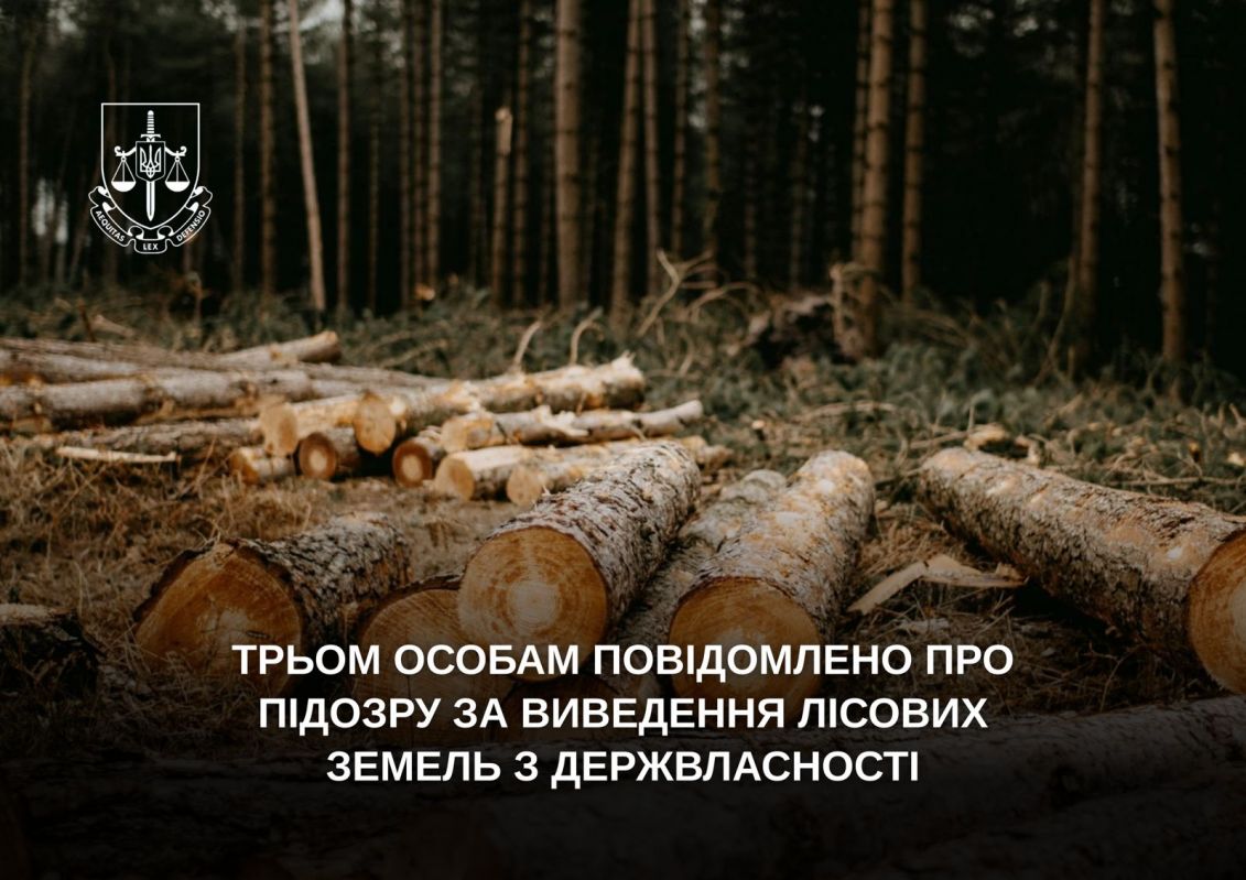 Трьом особам повідомлено про підозру у виведенні лісових земель біля Буковеля з держвласності