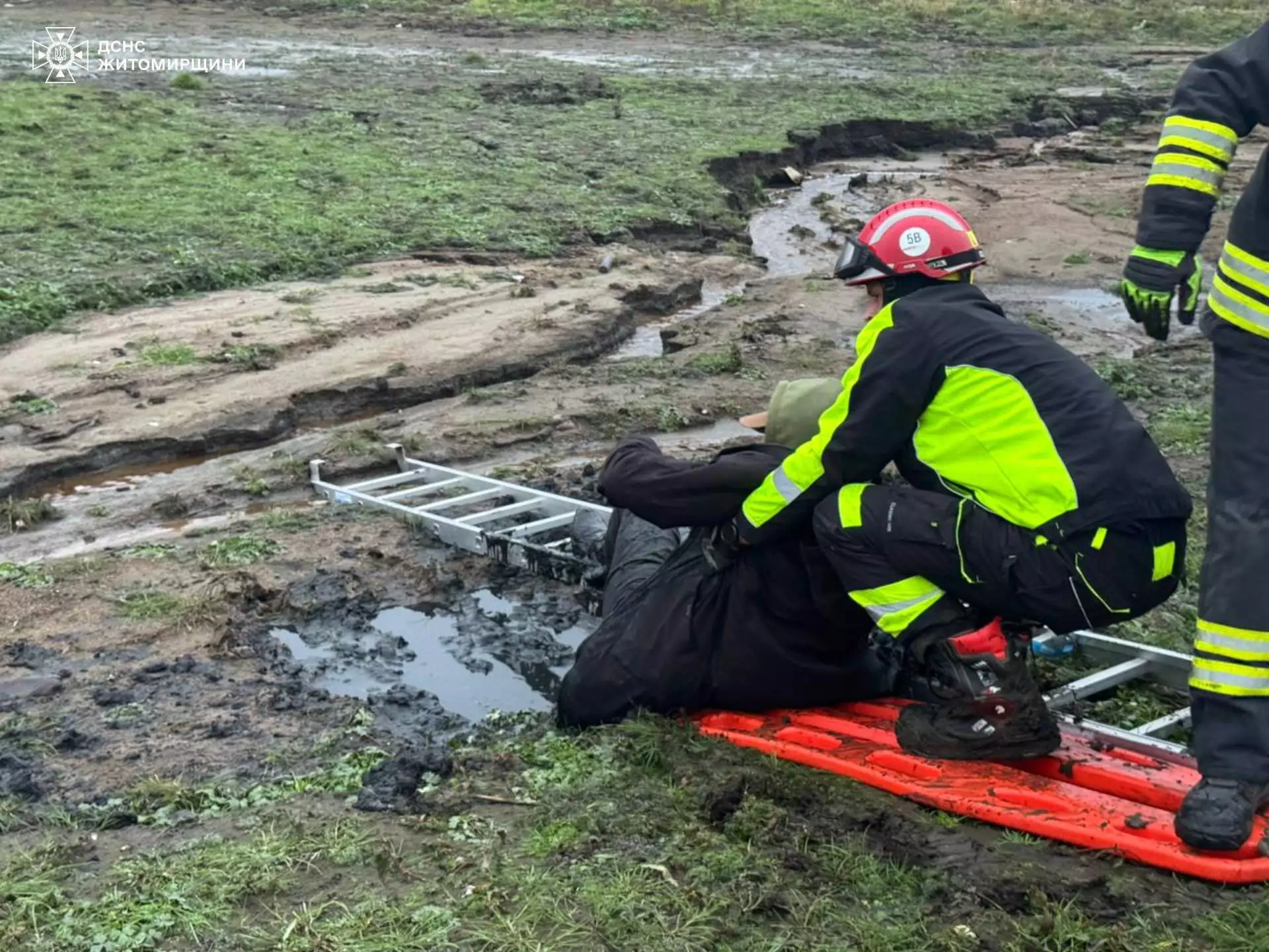 На Житомирщині рятувальники допомогли чоловіку, який застряг у болоті, - ДСНС. ФОТО