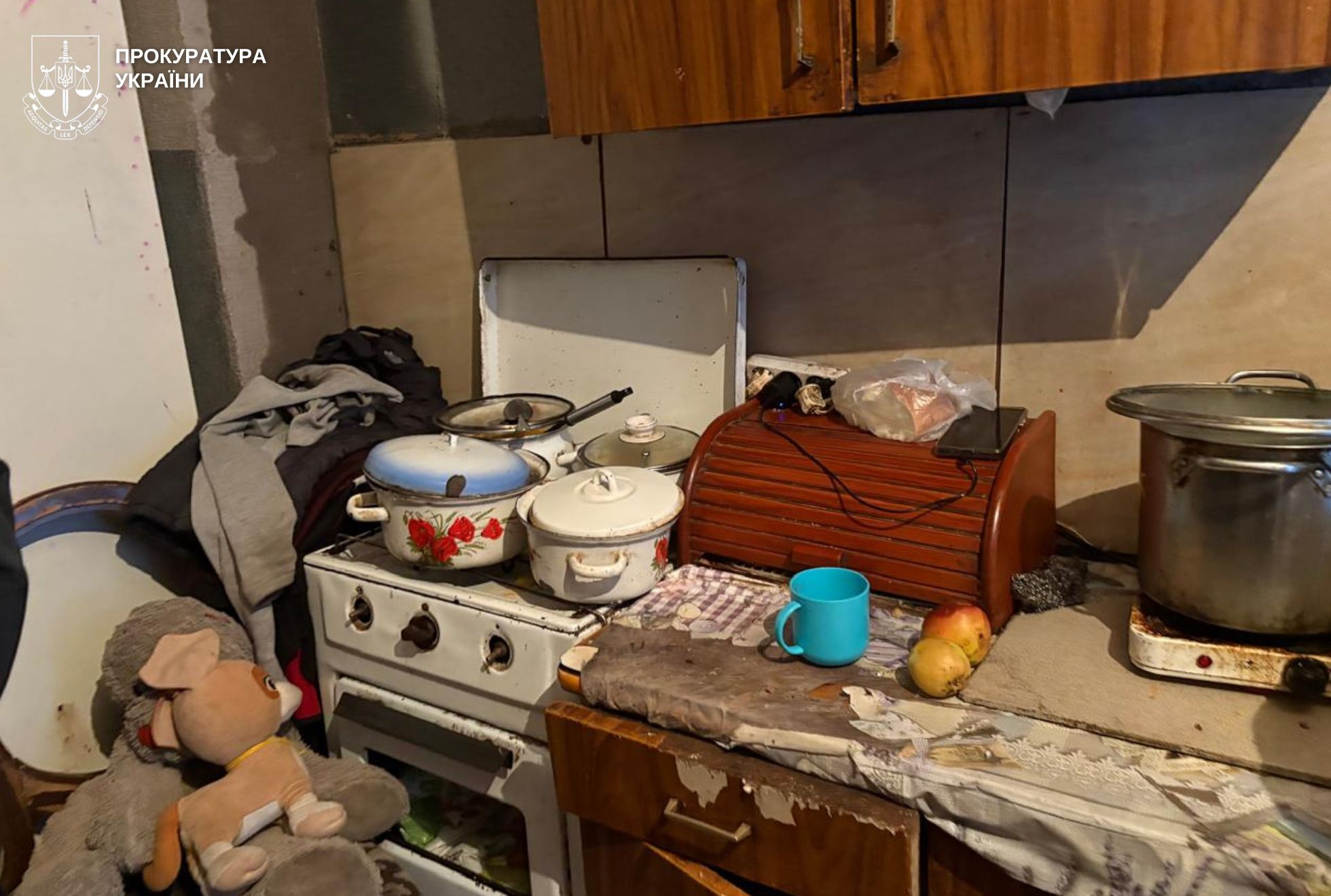 З семи дітей одне немовля з туберкульозом, а дворічний хлопчик з опіками – прокуратура Львівщини веде розслідування