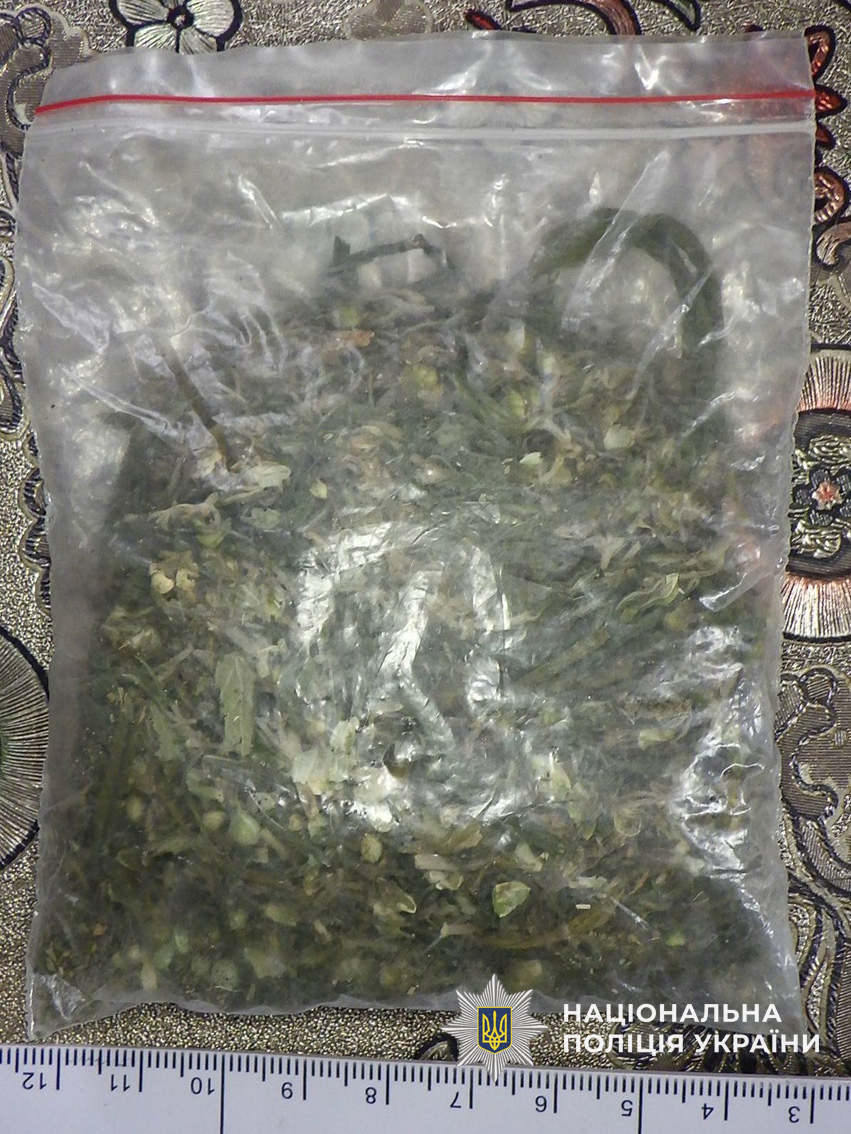 Вкрай небезпечна комбінація: на Чернігівщині у чоловіка вилучено наркотики та вибухівку