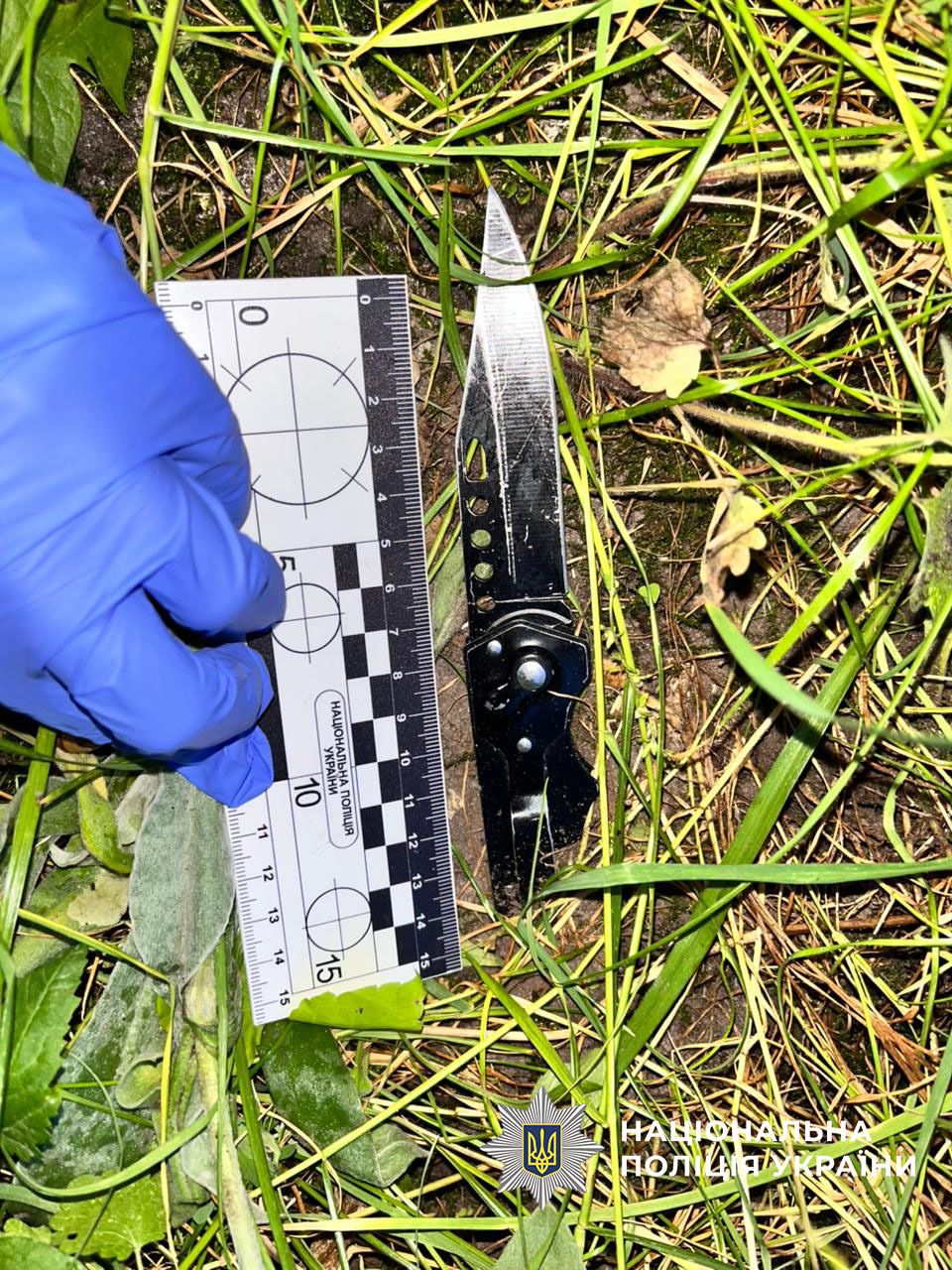 У Києві судитимуть молоду жінку, яка під наркотиками поранила ножем співмешканця