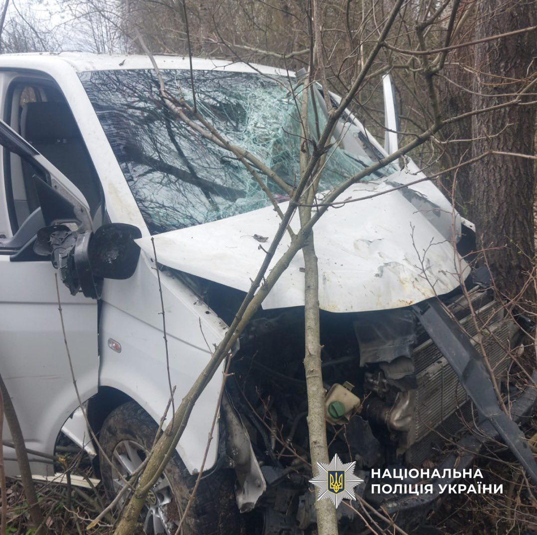 На Прикарпатті бусик збив тварину та потрапив до кювету, у ДТП постраждала жінка. ФОТО