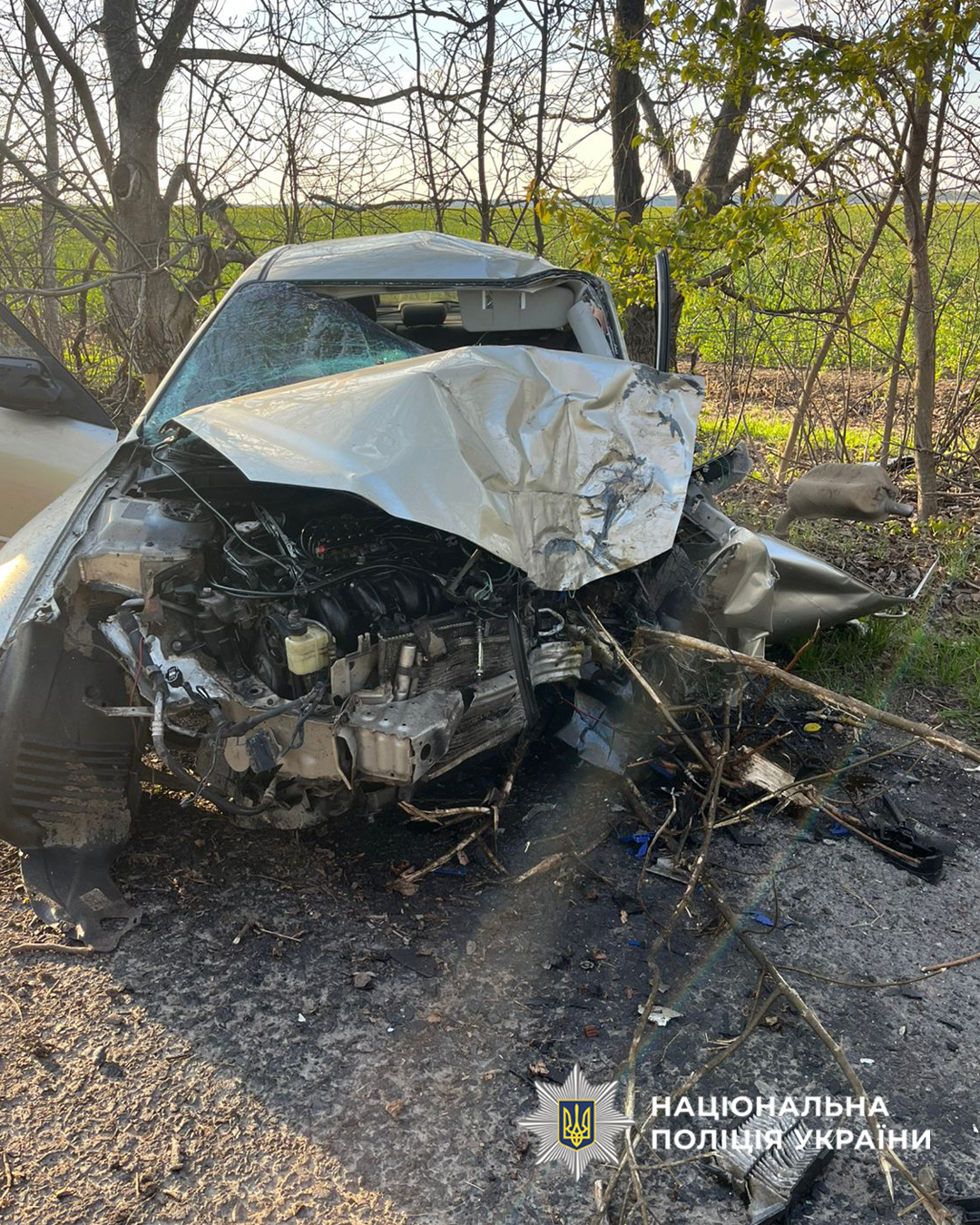 На Черкащині легковик вилетів з дороги точнісінько у дерево, водій шансів вижити на мав. ФОТО
