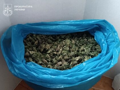 На Полтавщині викрили наркогрупу, в учасників якої вилучили близько 30 кг канабісу