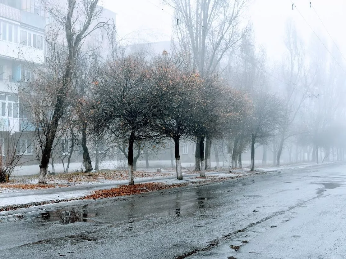 Ожеледиця та сильний туман: на Полтавщині оголошено «жовтий» рівень небезпеки
