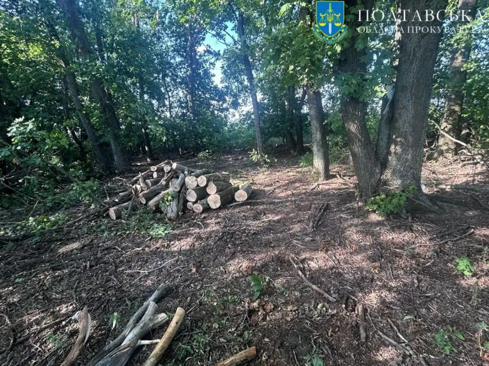 Охорона довкілля: за рік прокурори Полтавщини пред’явили позовів на 106 млн грн та скерували до суду 132 обвинувальні акти в кримінальних провадженнях