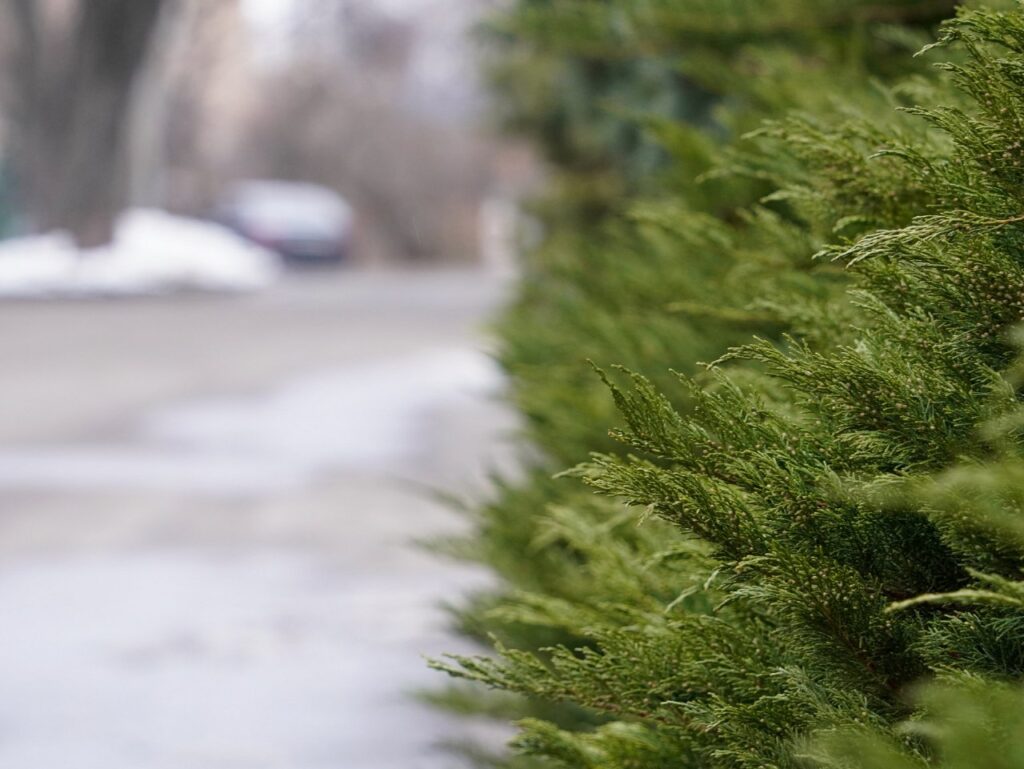 Яким буде березень на Полтавщині: синоптики дали перший прогноз на початок весни