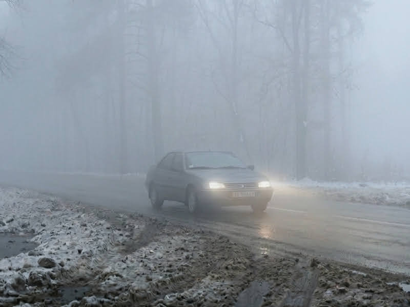 На Полтавщині оголошено «жовтий» рівень небезпечності: область накриє густий туман