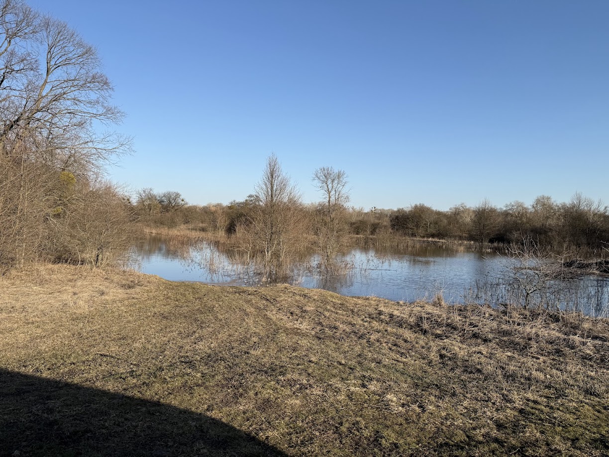 До +11 та без опадів: детальний прогноз погоди на Полтавщині на суботу, 21 березня