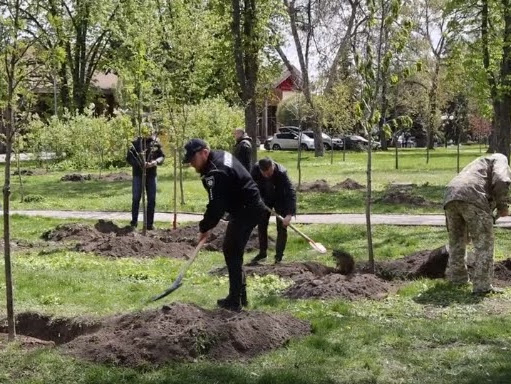 «1 мільйон дерев пам’яті та життя»: Полтава долучилася до міжнародної акції