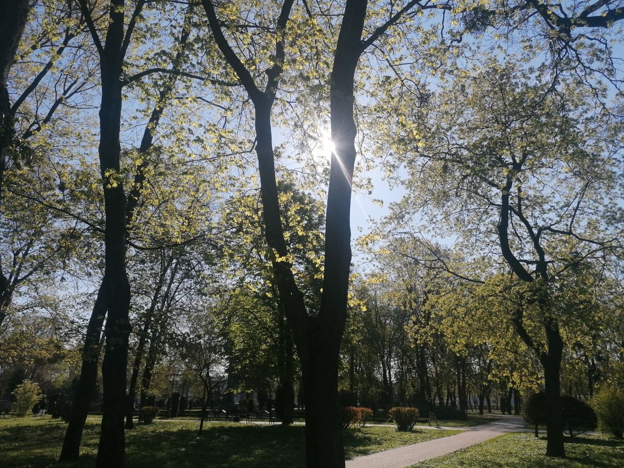 Погода в Полтаві та області на сьогодні: температура підніметься до +17°