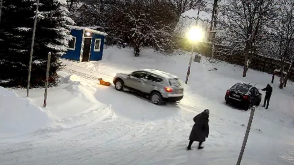 На Львівщині водій двічі переїхав собаку — справою зайнялася поліція