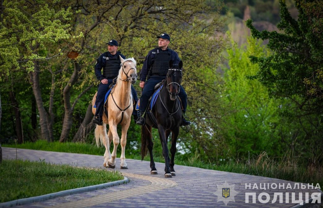 На Запорожье лесопарковые зоны начали патрулировать конные патрули: милые кадры