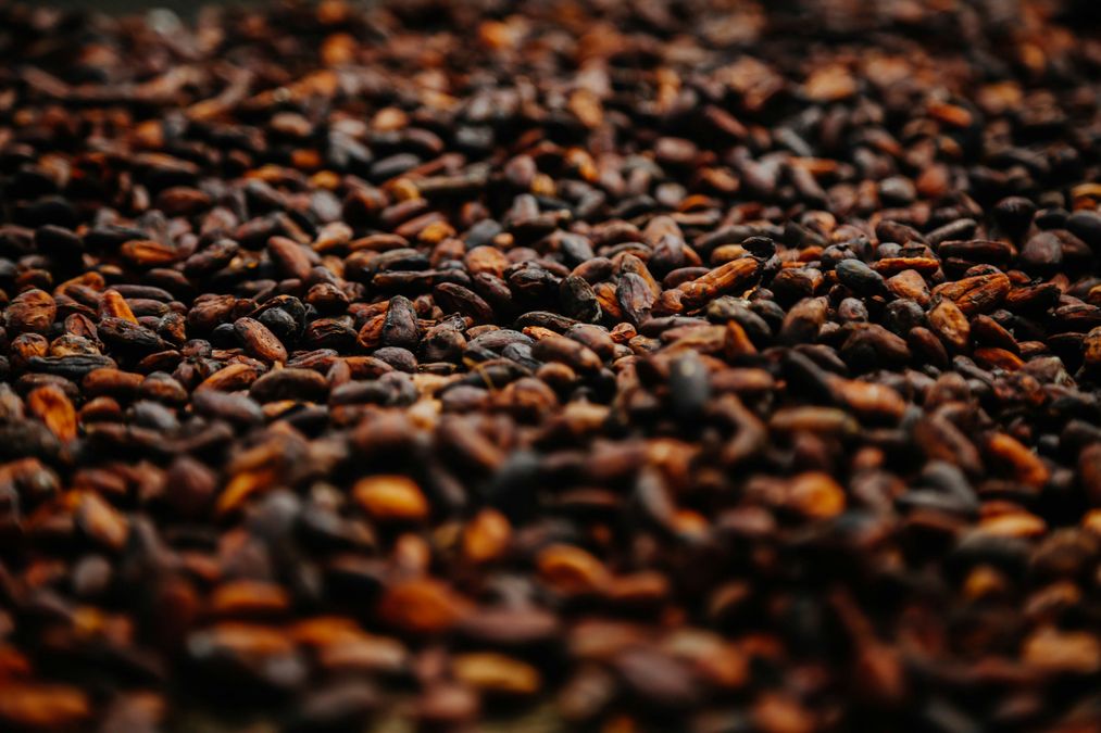 Новый рекорд цен на какао: тонна стоит более 10 тысяч долларов, — Bloomberg