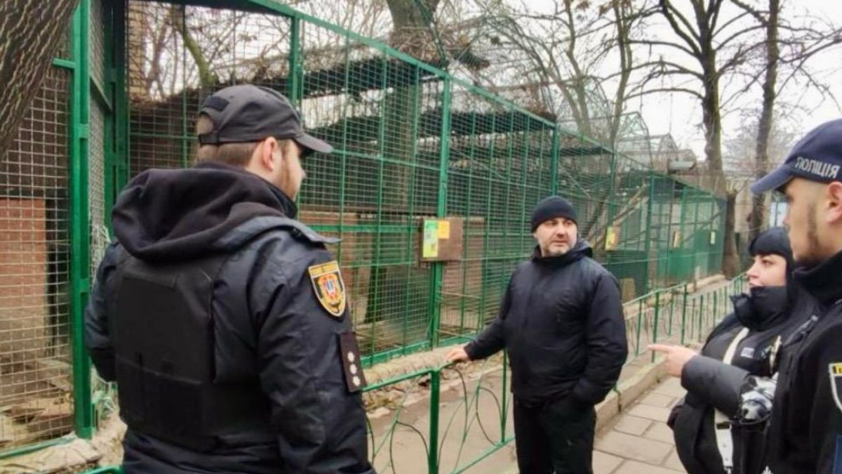 В Одессе застрелили леопарда: зоозащитники требуют провести расследование