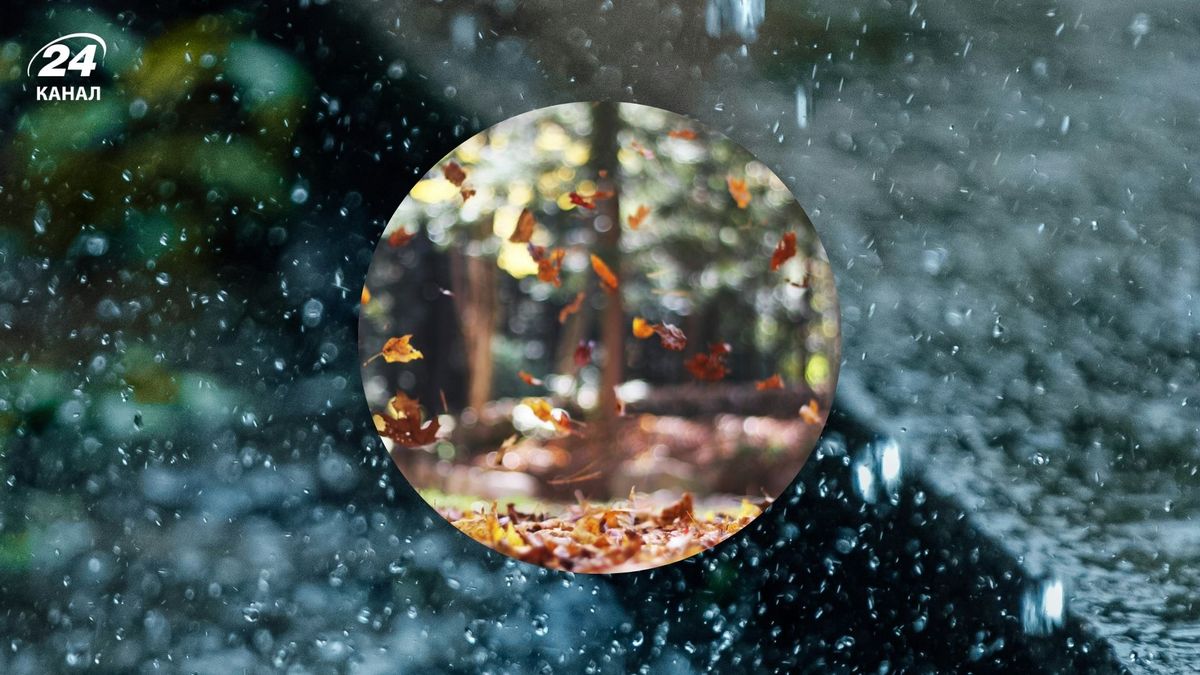 Облачно, дожди, а местами и туман: погода в Украине на 12 ноября