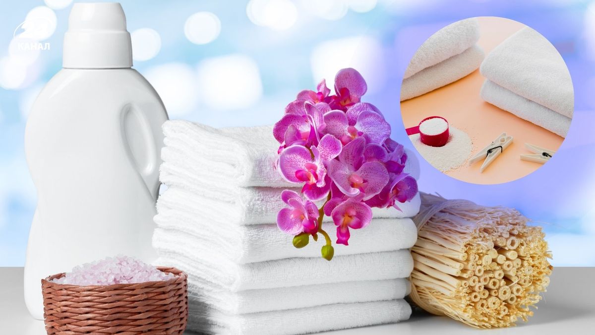 Какое средство для стирки лучше – жидкое или порошковое: узнайте ответ