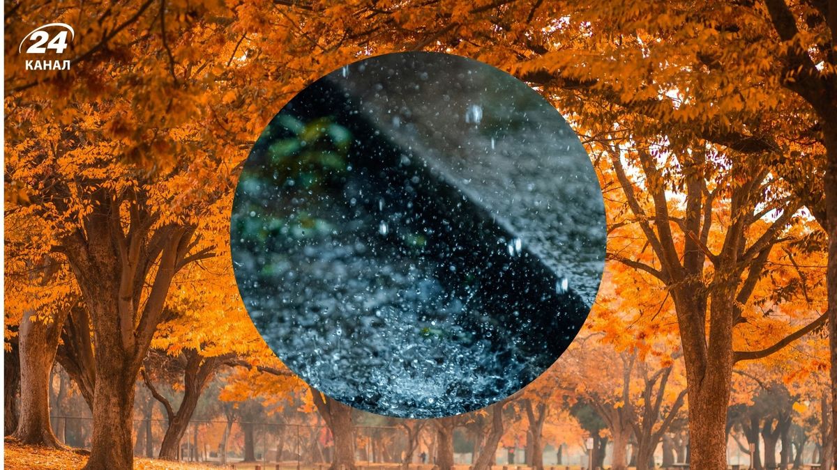 До +13 и дождь в ряде областей: погода в Украине на 26 ноября