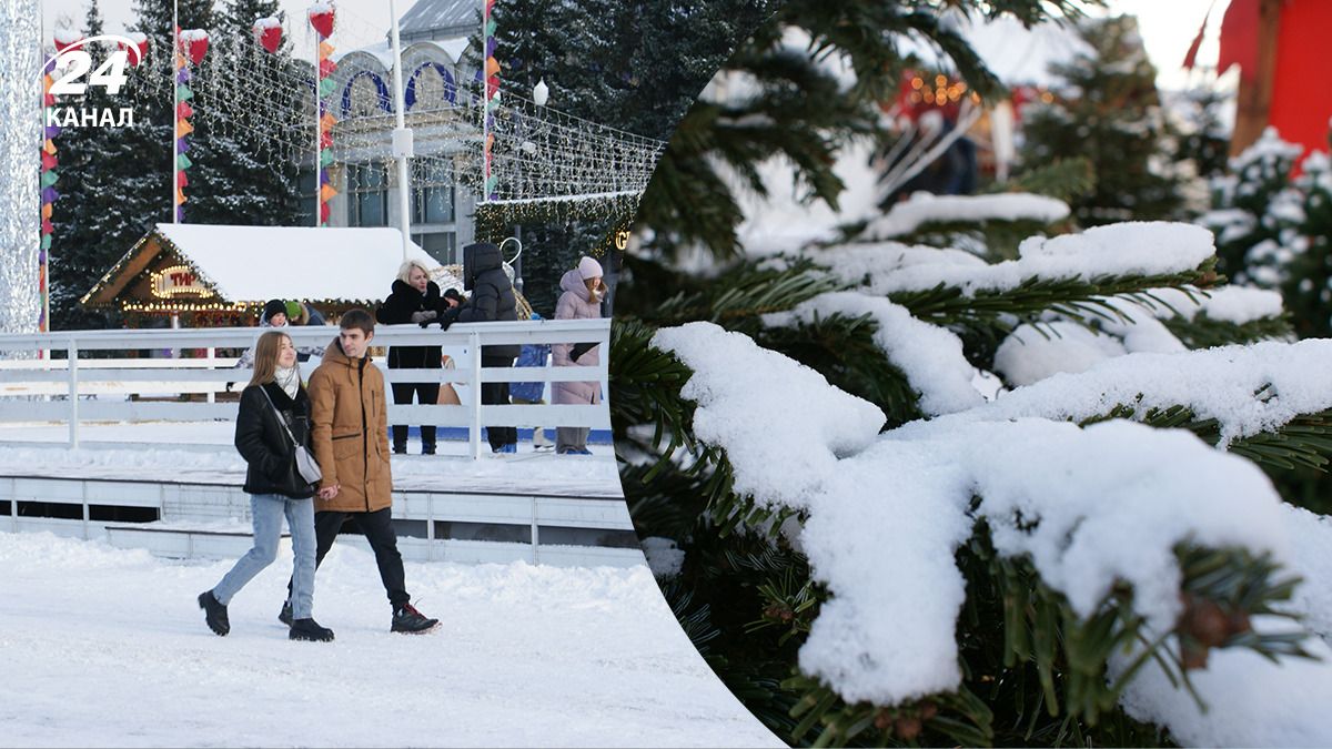 Дожди, мокрый снег и гололедица на дорогах: прогноз погоды на 15 декабря