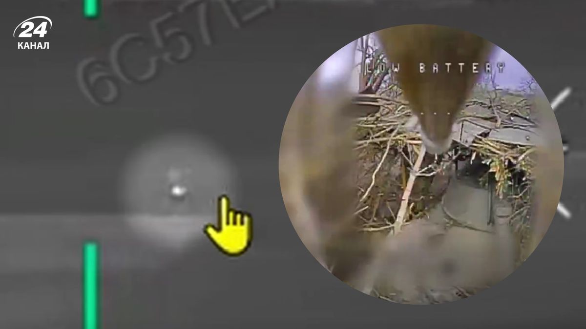 Больше не будет бить по ВСУ: дронари уничтожили российскую САУ на Запорожье