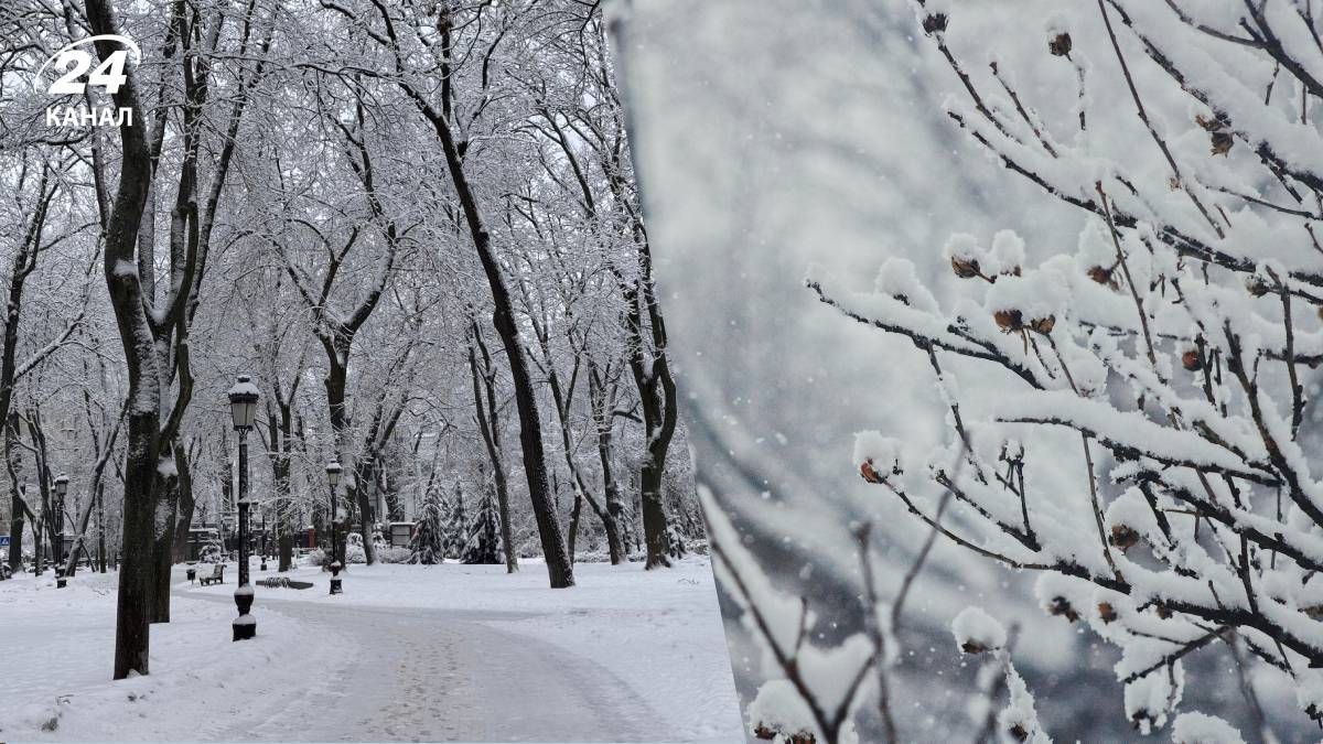 Где ударят самые большие морозы до -23, и засыплет ли Украину снегом