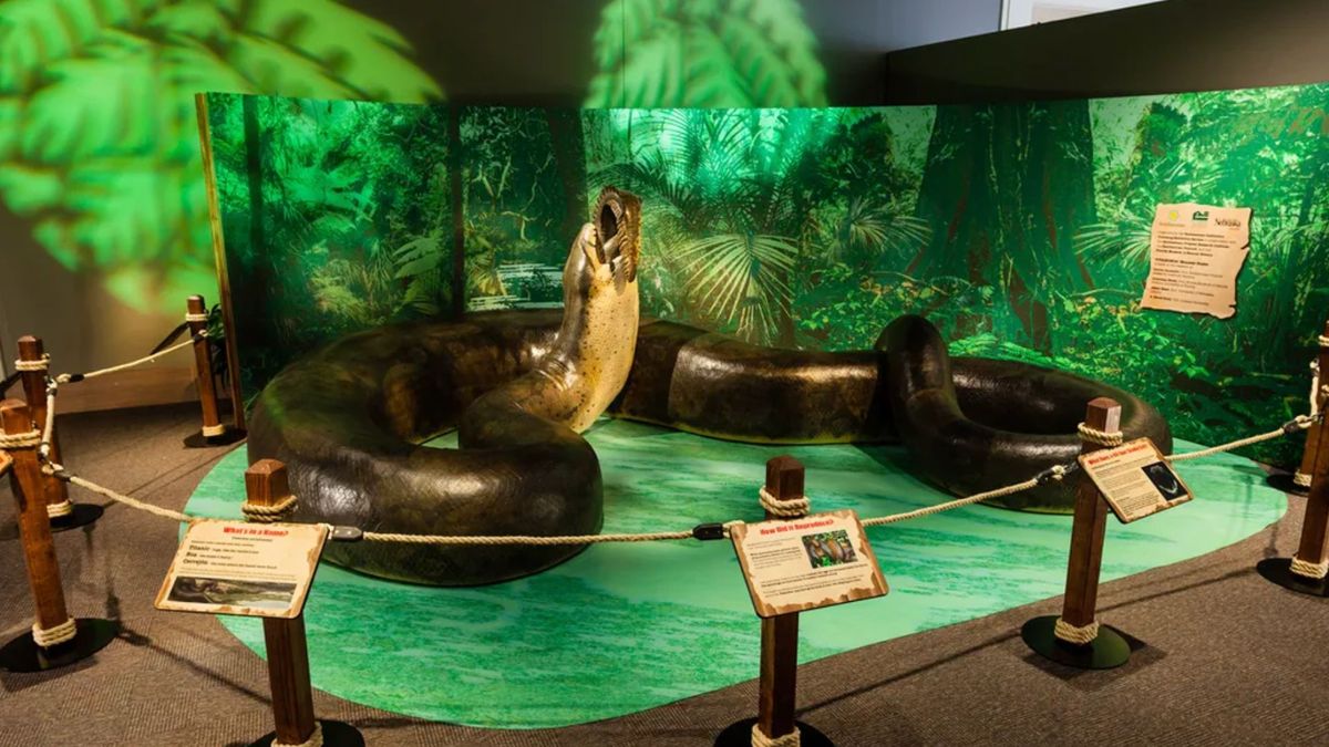 Были длиннее грузовика: на Земле когда-то жили змеи весом более тонны и длиной до 15 метров