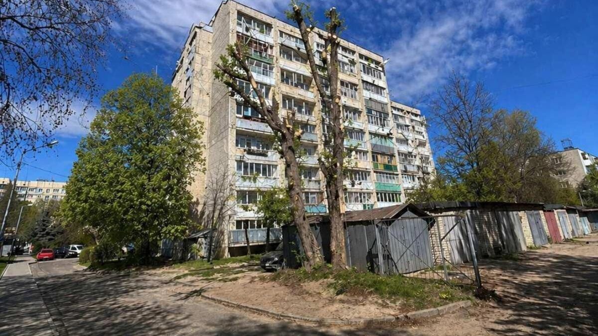 Во Львове отчитались об обрезке дерева ИИ-изображением: в горсовете объяснили