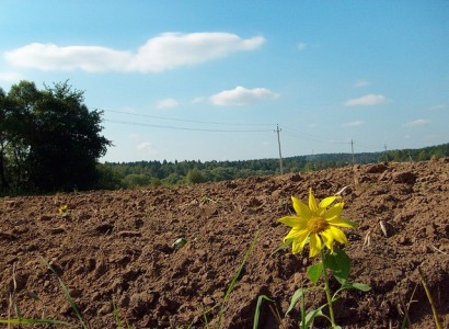 Кіровоградщина отримала понад пів мільярда гривень плати за землю
