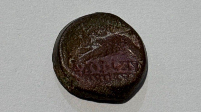 Измаильские пограничники задержали женщину, перевозившую монеты IV в. до н.э.