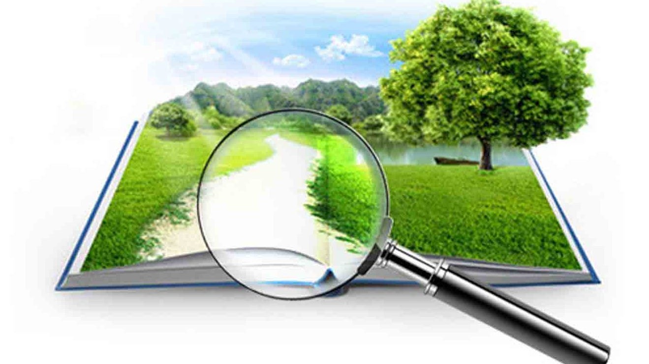 Одесская прокуратура воспрепятствовала самовольному захвату лакомого куска земли