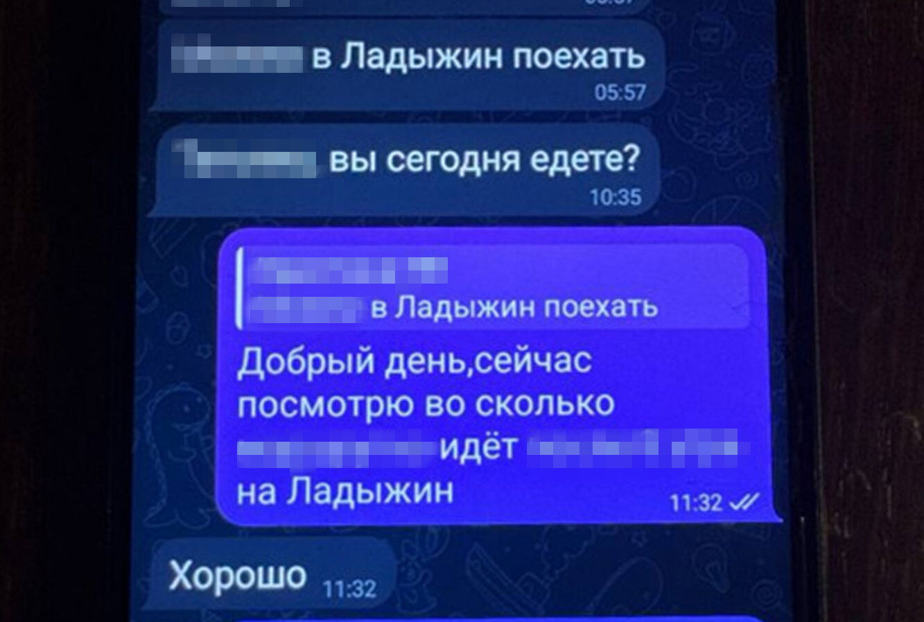 СБУ та поліція затримали коригувальницю ударів по енергетиці Вінниччини