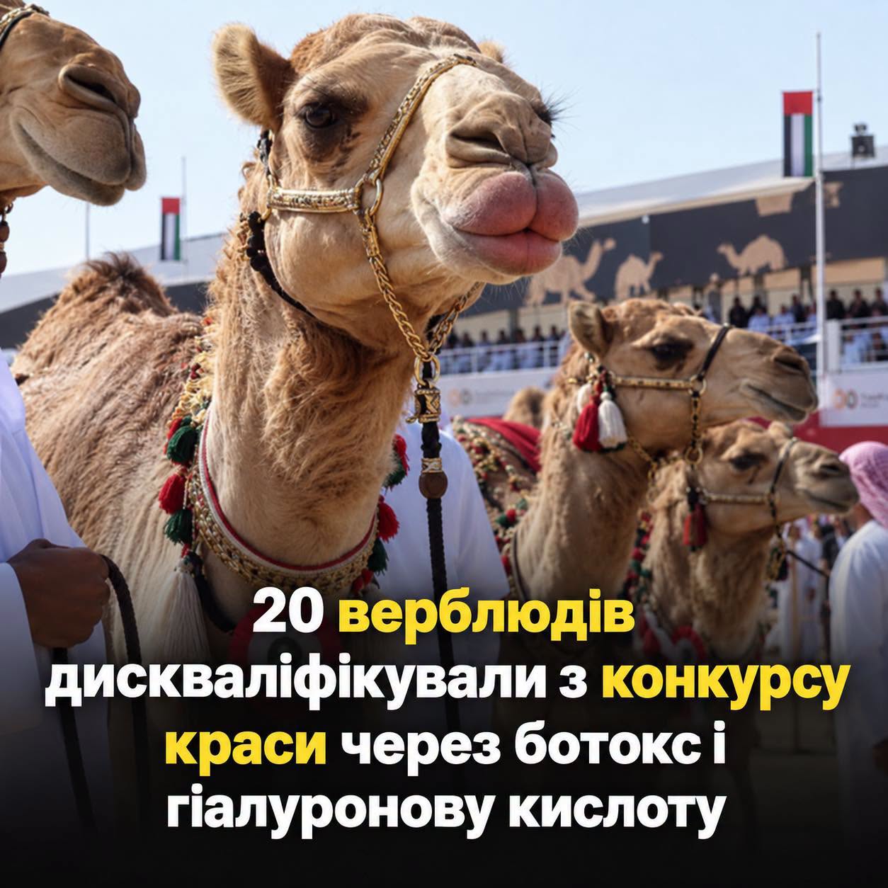 news-image