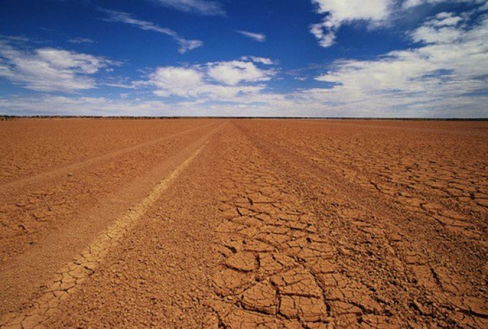 Мелитопольщина стремительно превращается в пустыню - WWF