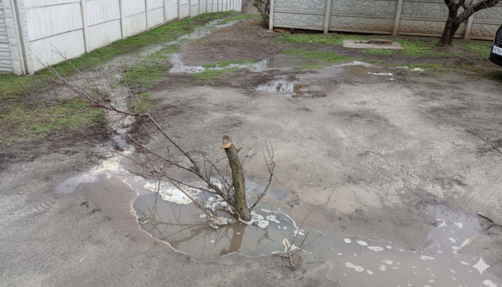 И конечно припевать лучше хором - мелитопольцы осваивают коллективный способ давления на коммунальщиков, чтобы не утонуть в нечистотах