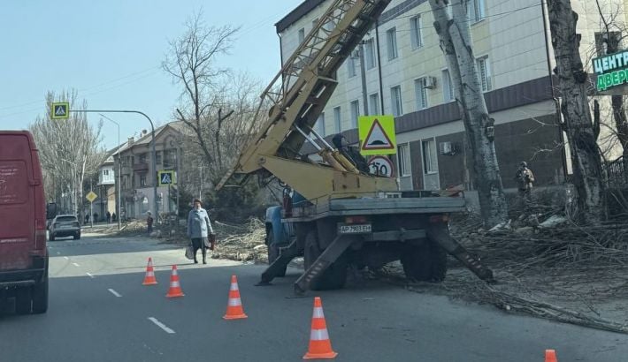 Мелитополь под топор: аварийные деревья убирают, а новые никто не сажает (фото)