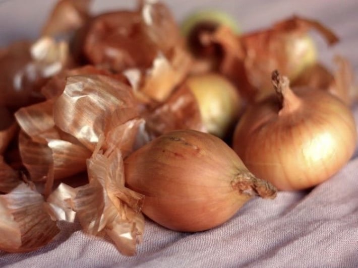 Шелуха под охраной - накануне Пасхи Мелитополю напомнили, куда приводит "русский мир"