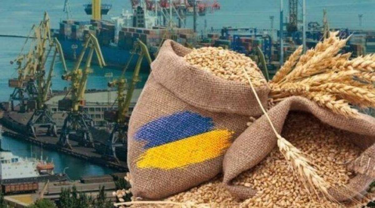 Аграрний експорт з Рівненської області складає майже 30% усіх продажів за кордон