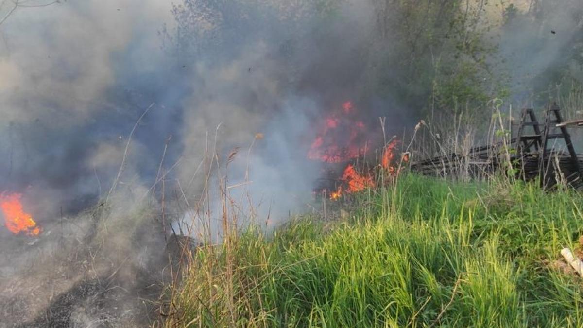 Цього року на Рівненщині вигоріло понад 736 га сухої трави