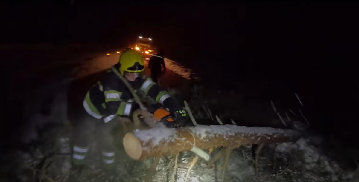 На Сарненщині рятувальники розблокували трасу від поваленого дерева (ВІДЕО)