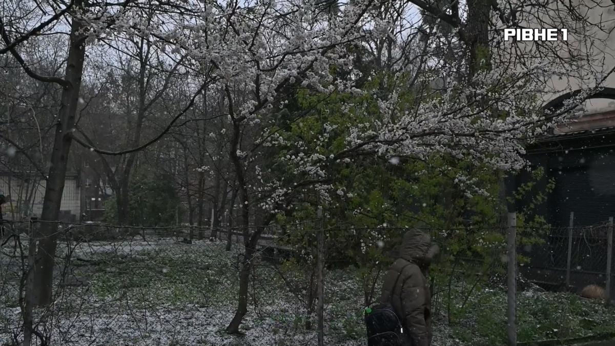 Замість квітня - лютий: яку погоду слід очікувати на Рівненщині на Воскресіння Христове (ВІДЕО)