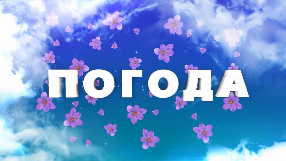 Погода у Рівному та області: синоптики попереджають про зниження температури на 12 градусів