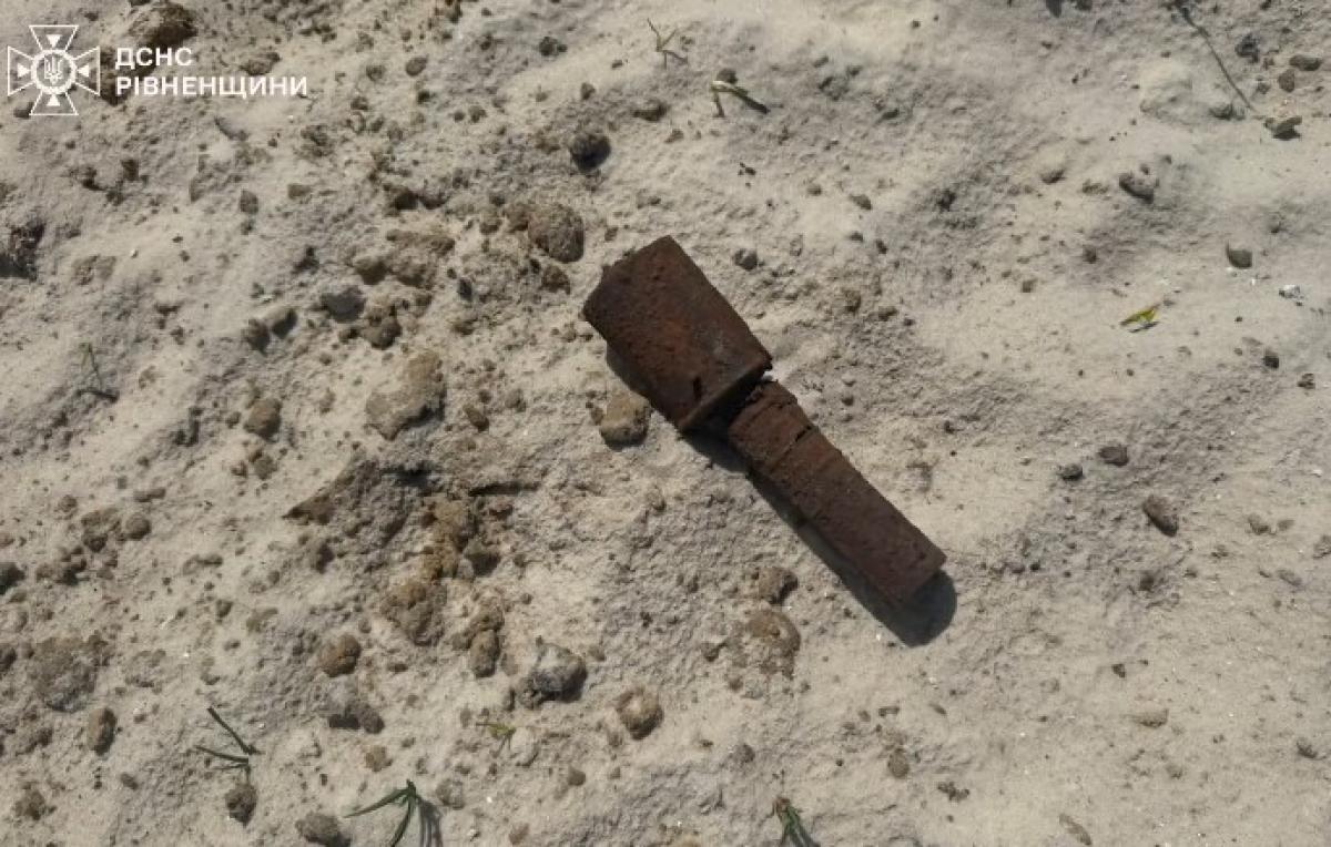 У лісі на Сарненщині знайшли гранату часів Другої світової війни (ВІДЕО)