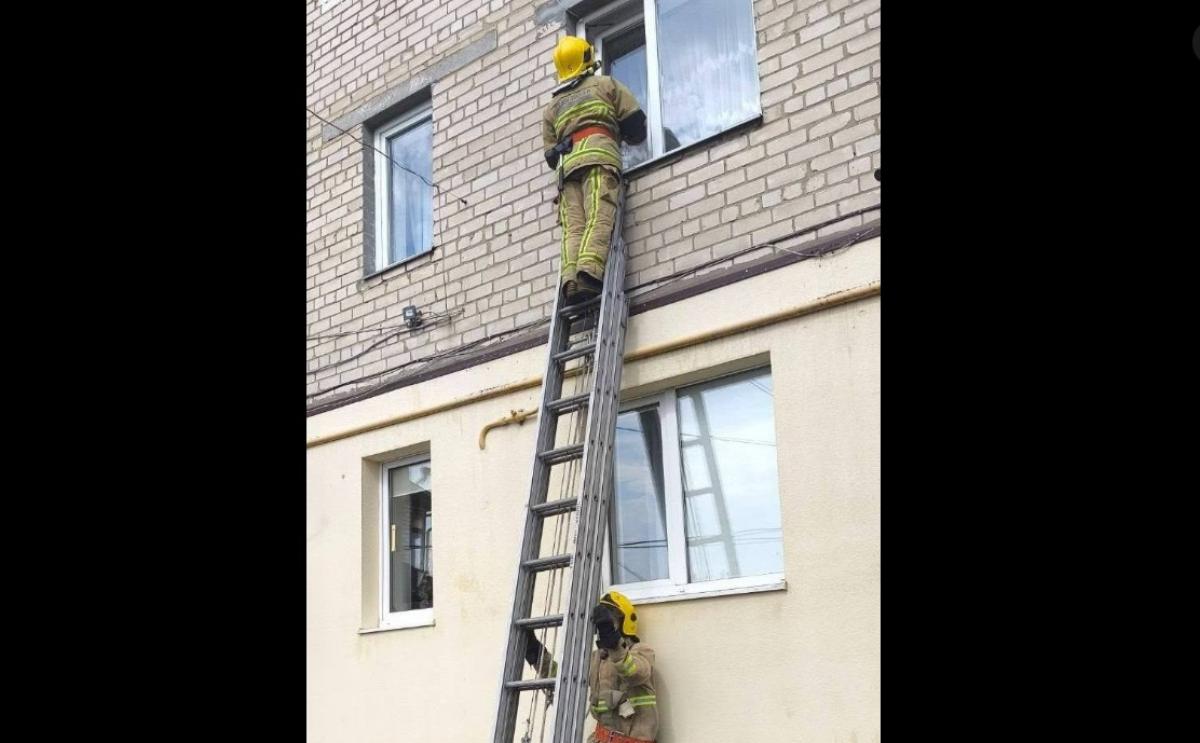news-image