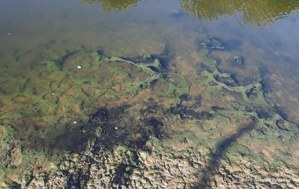 Реку в Луганске оккупанты превратили в токсичный коллектор – ЦНС