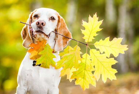 Синоптики розповіли, якою буде погода у Миколаєві та області у неділю