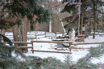 Миколаївський зоопарк перетворився на казкову зимову фотозону після снігопаду