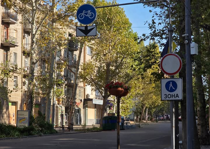 Мер Миколаєва закликав водіїв не їздити пішохідною Соборною