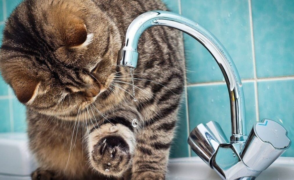 У Кам’янському 37 будинків без води